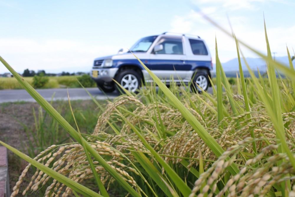 pajero4