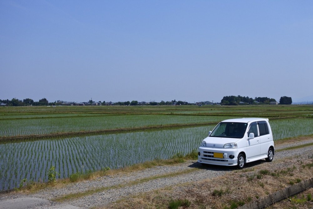 中古車購入　ライフ　試乗